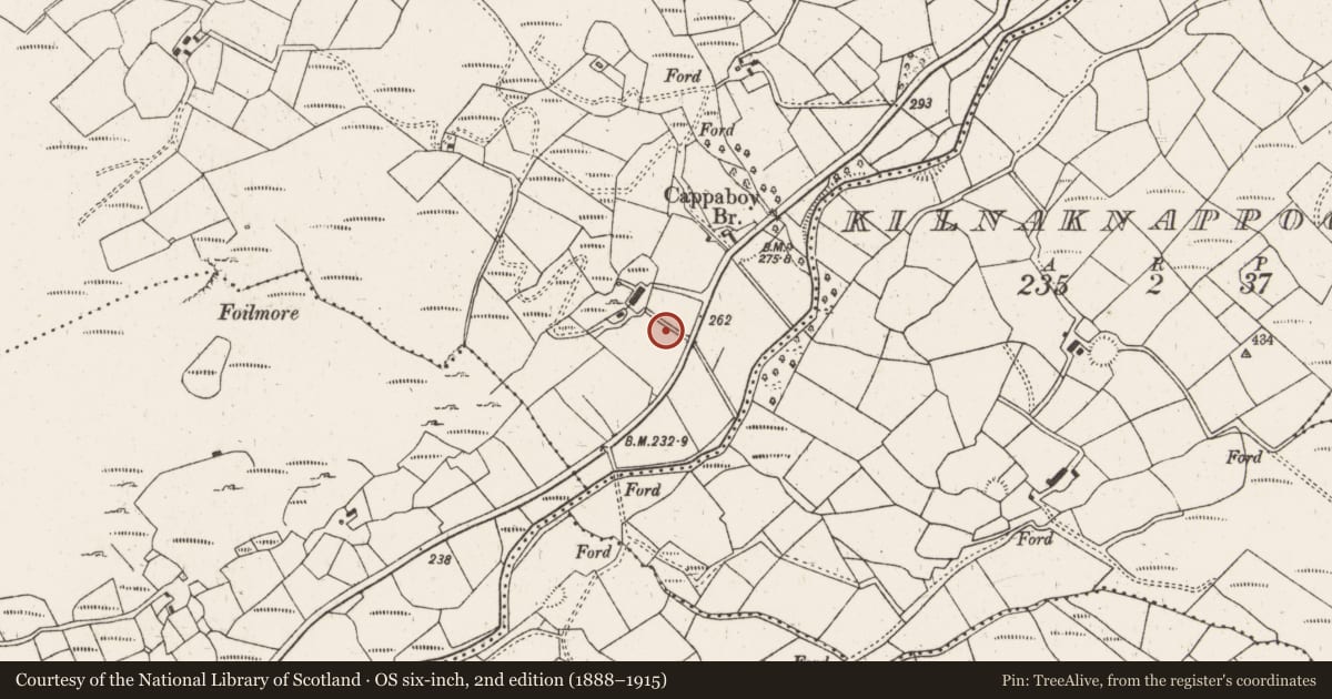Ordnance Survey six-inch map, 2nd edition (1888–1915) covering the location of Ringfort - rath, Cappaboy More, County Cork, with a pin at the register's coordinates