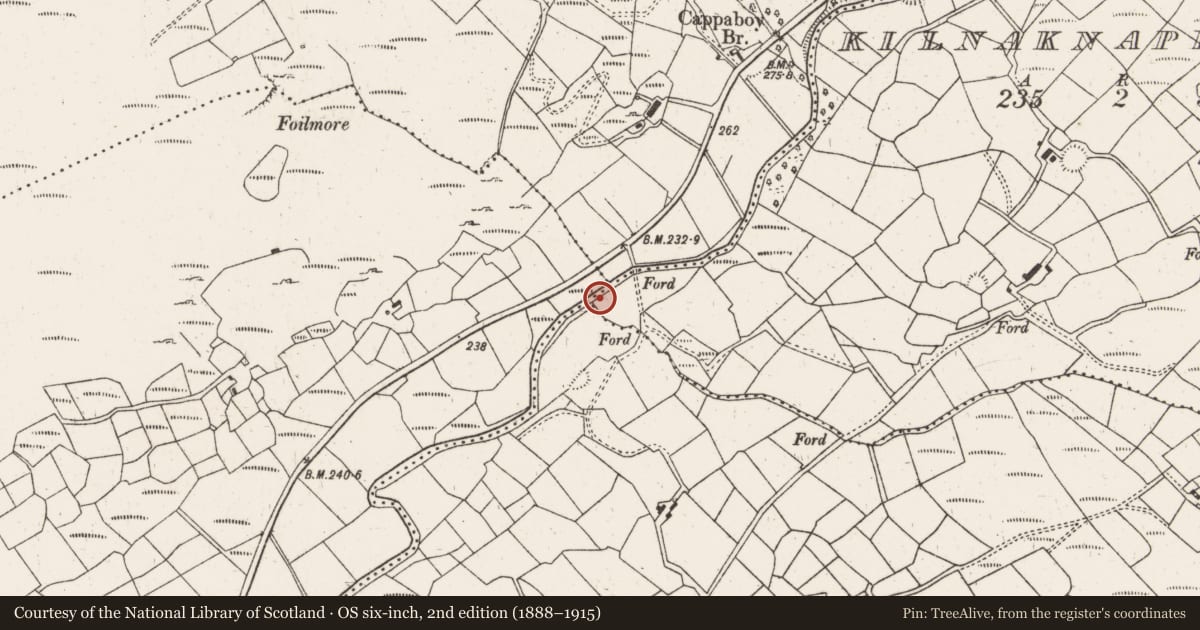 Ordnance Survey six-inch map, 2nd edition (1888–1915) covering the location of Ringfort - rath, Kilnaknappoge, County Cork, with a pin at the register's coordinates
