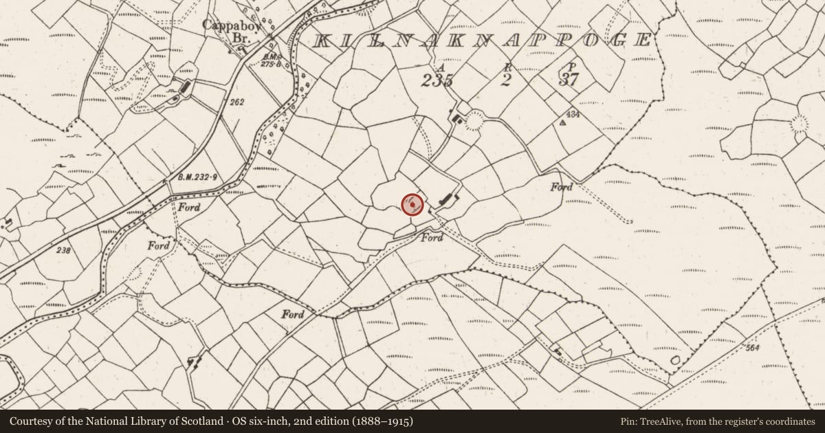 Ordnance Survey six-inch map, 2nd edition (1888–1915) covering the location of Ringfort - rath, Kilnaknappoge, County Cork, with a pin at the register's coordinates