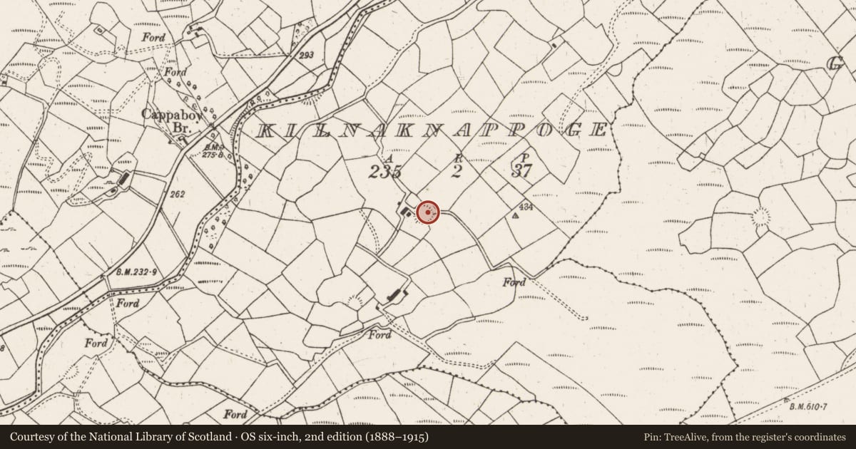 Ordnance Survey six-inch map, 2nd edition (1888–1915) covering the location of Ringfort - rath, Kilnaknappoge, County Cork, with a pin at the register's coordinates