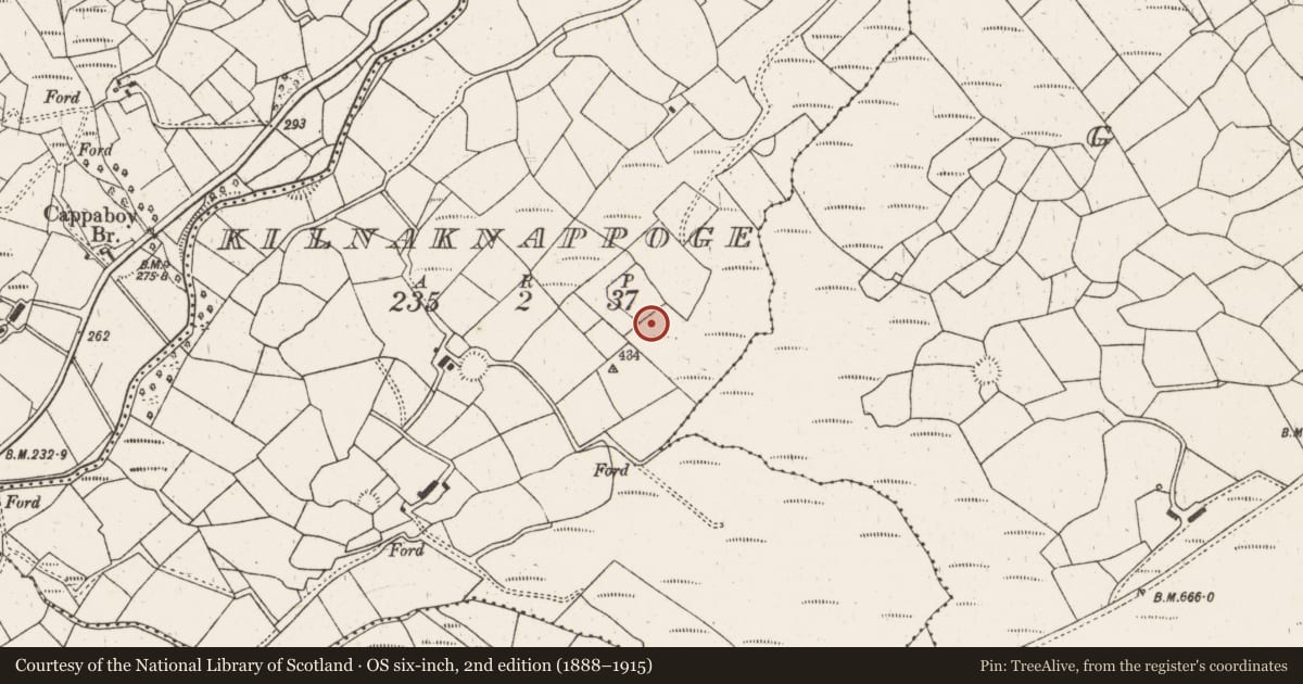 Ordnance Survey six-inch map, 2nd edition (1888–1915) covering the location of Enclosure, Kilnaknappoge, County Cork, with a pin at the register's coordinates