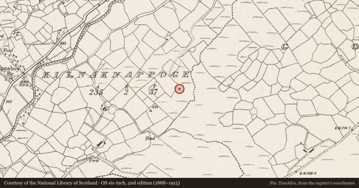 Ordnance Survey six-inch map, 2nd edition (1888–1915) covering the location of Ringfort - cashel, Kilnaknappoge, County Cork, with a pin at the register's coordinates