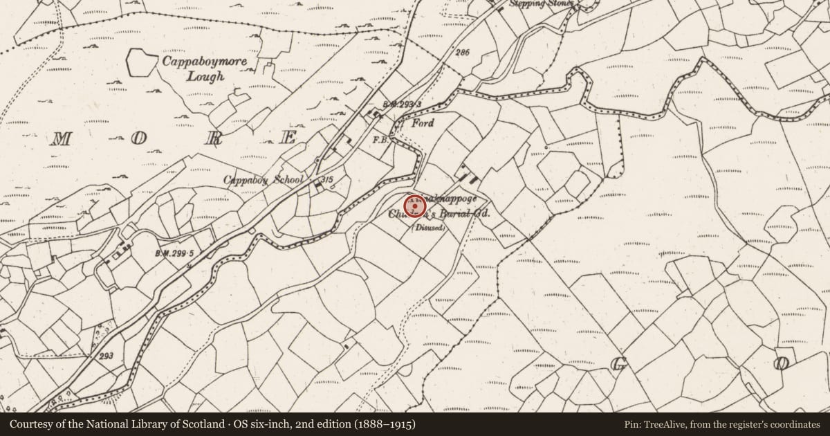 Ordnance Survey six-inch map, 2nd edition (1888–1915) covering the location of Burial ground, Kilnaknappoge, County Cork, with a pin at the register's coordinates