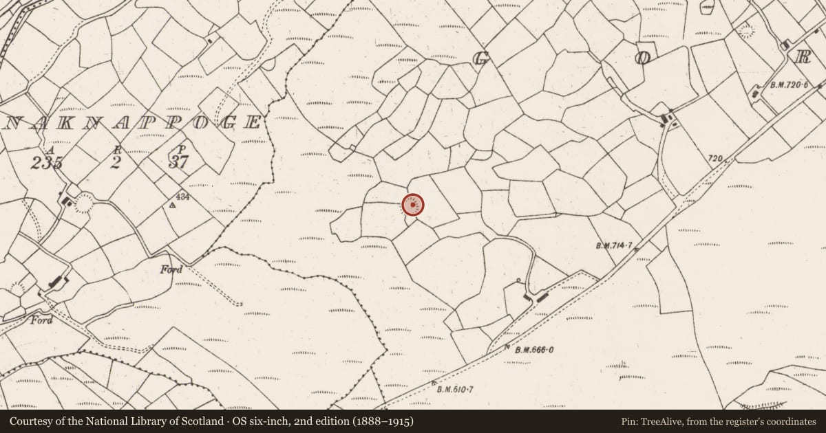 Ordnance Survey six-inch map, 2nd edition (1888–1915) covering the location of Ringfort - cashel, Gortloughra, County Cork, with a pin at the register's coordinates