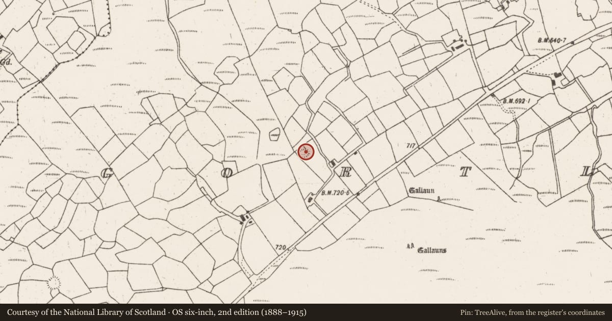 Ordnance Survey six-inch map, 2nd edition (1888–1915) covering the location of Ringfort - rath, Gortloughra, County Cork, with a pin at the register's coordinates