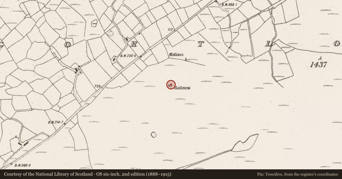 Ordnance Survey six-inch map, 2nd edition (1888–1915) covering the location of Standing stone - pair, Gortloughra, County Cork, with a pin at the register's coordinates