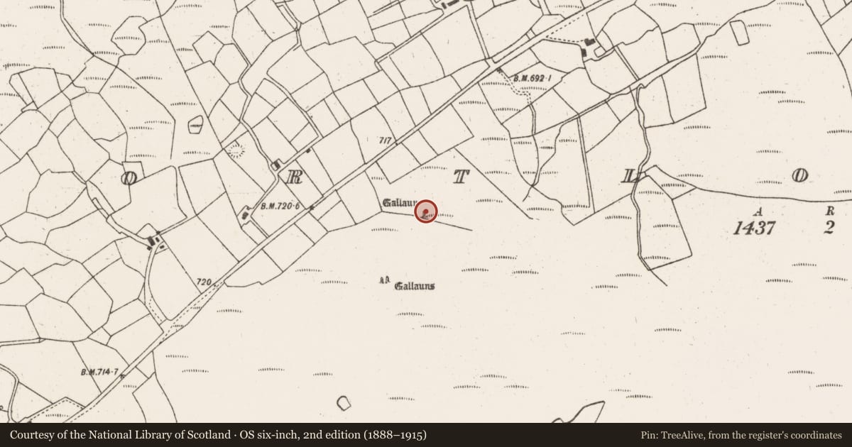 Ordnance Survey six-inch map, 2nd edition (1888–1915) covering the location of Standing stone, Gortloughra, County Cork, with a pin at the register's coordinates