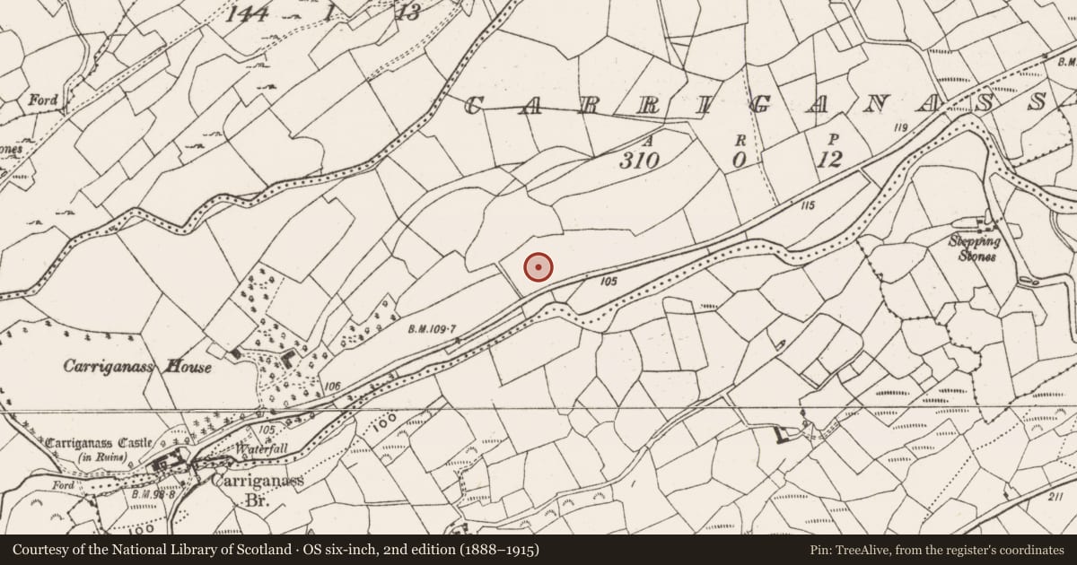 Ordnance Survey six-inch map, 2nd edition (1888–1915) covering the location of Fulacht fia, Carriganass, County Cork, with a pin at the register's coordinates