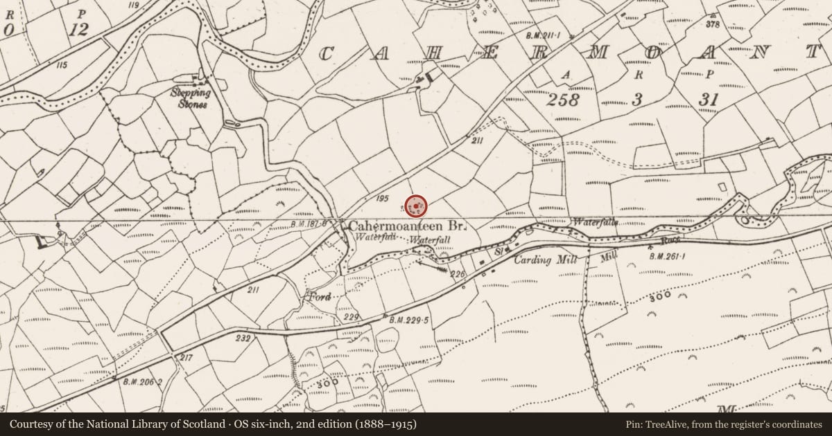 Ordnance Survey six-inch map, 2nd edition (1888–1915) covering the location of Enclosure, Cahermoanteen, County Cork, with a pin at the register's coordinates
