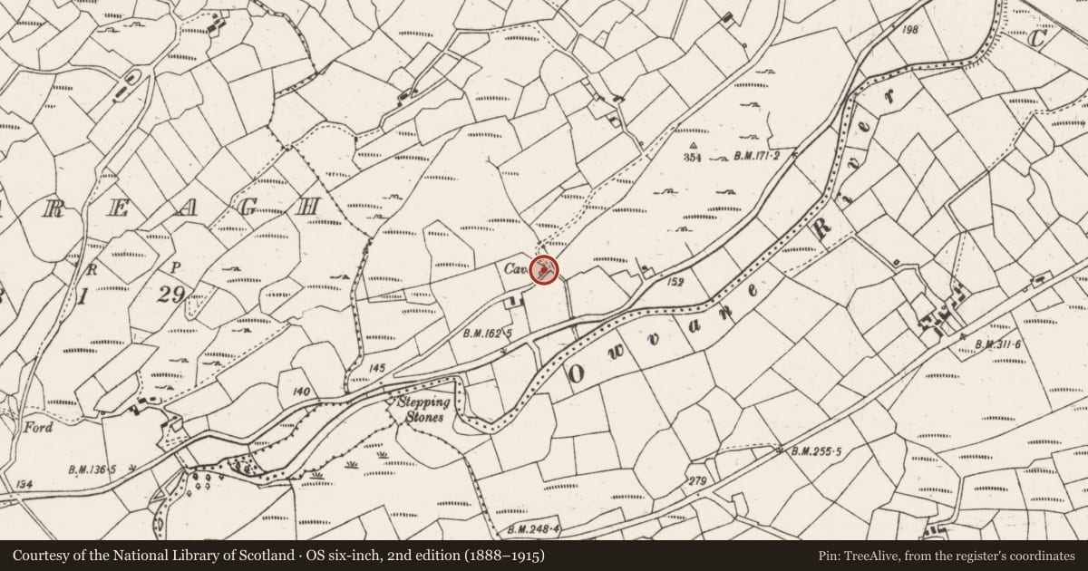 Ordnance Survey six-inch map, 2nd edition (1888–1915) covering the location of Souterrain, Maulavanig, County Cork, with a pin at the register's coordinates