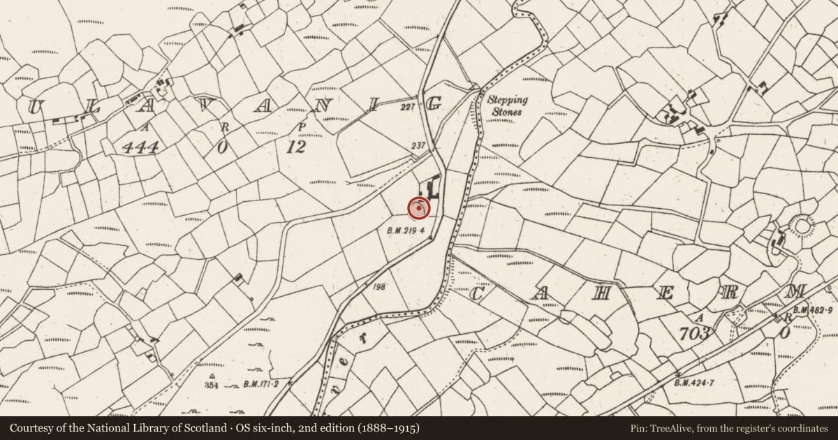 Ordnance Survey six-inch map, 2nd edition (1888–1915) covering the location of Ringfort - rath, Maulavanig, County Cork, with a pin at the register's coordinates