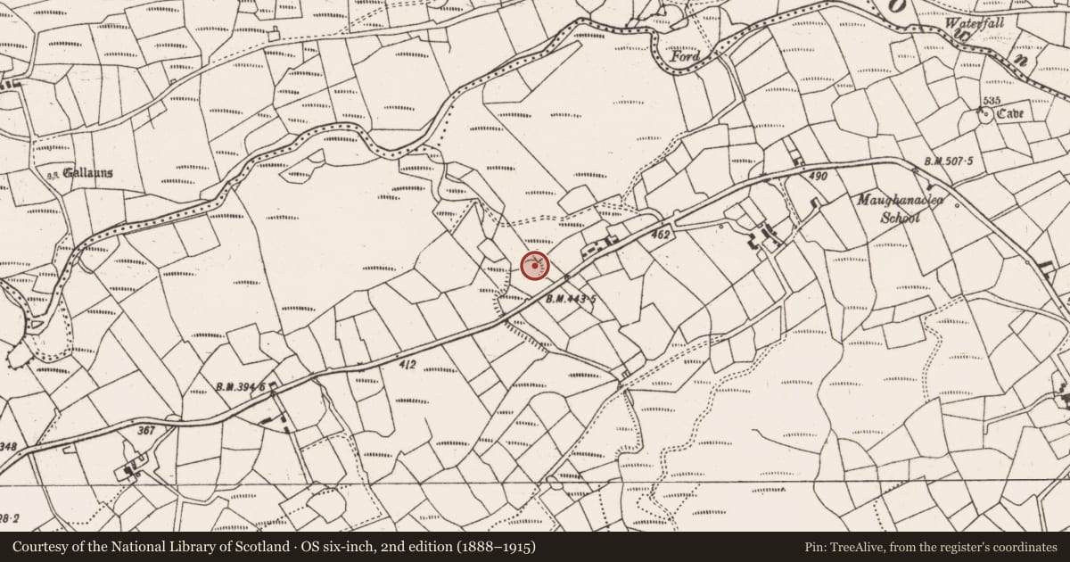 Ordnance Survey six-inch map, 2nd edition (1888–1915) covering the location of Ringfort - cashel, Maughanaclea, County Cork, with a pin at the register's coordinates