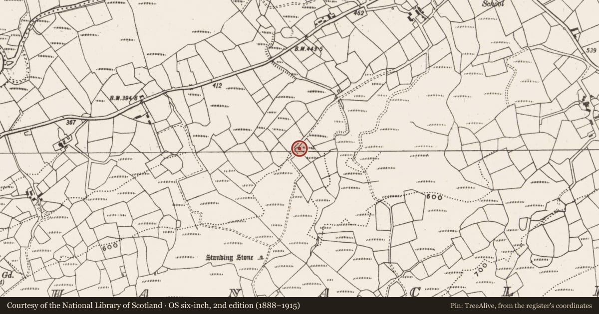 Ordnance Survey six-inch map, 2nd edition (1888–1915) covering the location of Ringfort - cashel, Maughanaclea, County Cork, with a pin at the register's coordinates