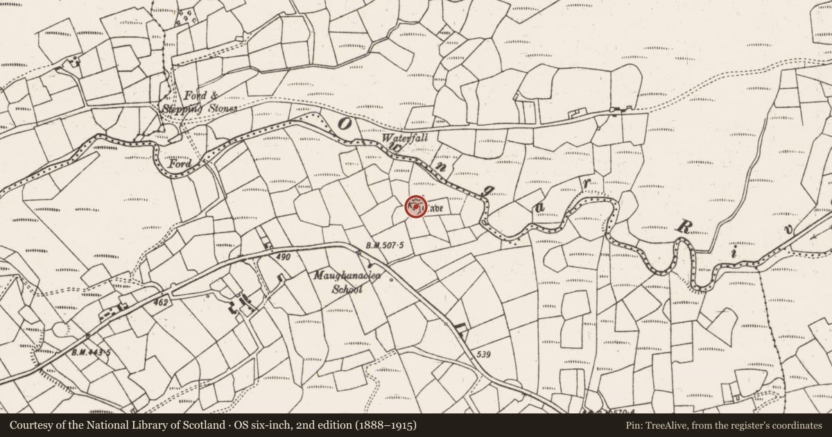Ordnance Survey six-inch map, 2nd edition (1888–1915) covering the location of Ringfort - cashel, Maughanaclea, County Cork, with a pin at the register's coordinates