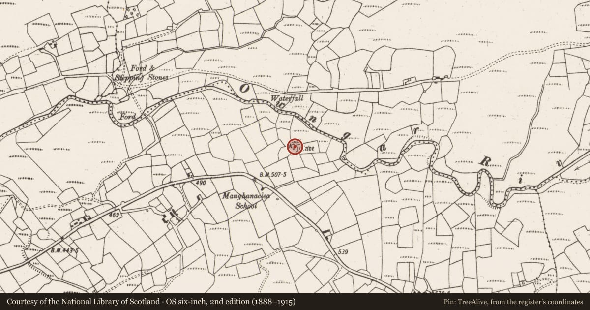 Ordnance Survey six-inch map, 2nd edition (1888–1915) covering the location of Souterrain, Maughanaclea, County Cork, with a pin at the register's coordinates