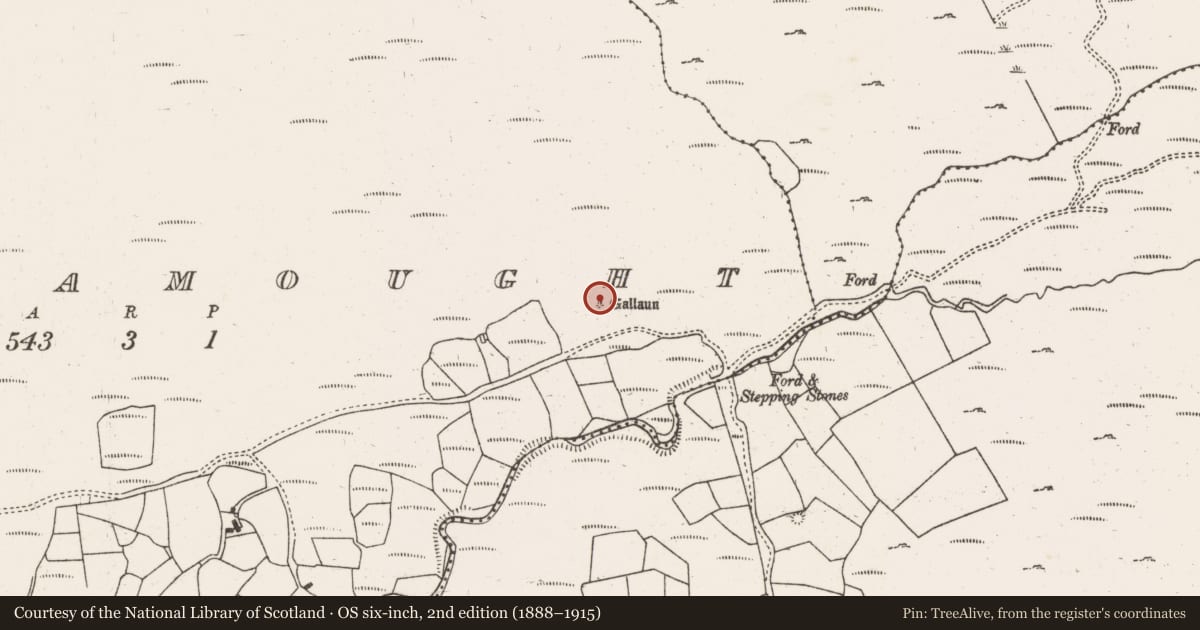 Ordnance Survey six-inch map, 2nd edition (1888–1915) covering the location of Standing stone, Ballynamought, County Cork, with a pin at the register's coordinates