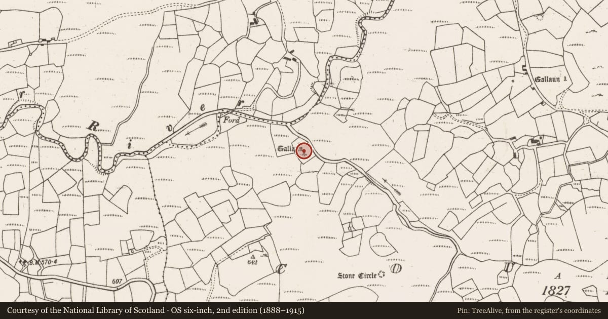 Ordnance Survey six-inch map, 2nd edition (1888–1915) covering the location of Standing stone, Cousane, County Cork, with a pin at the register's coordinates