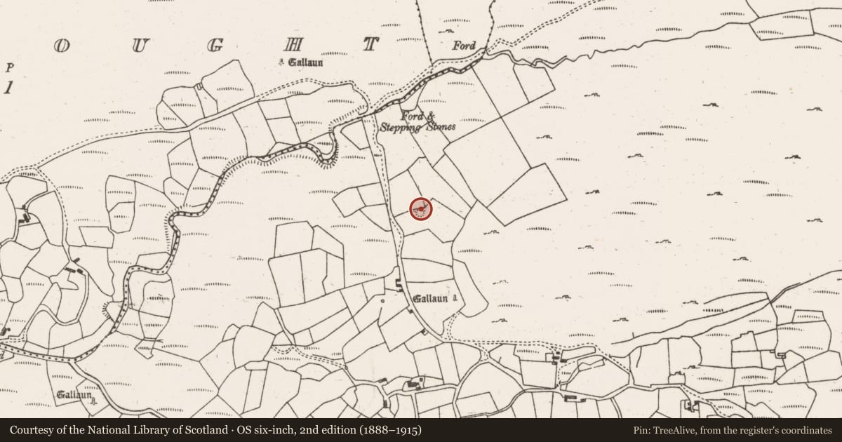 Ordnance Survey six-inch map, 2nd edition (1888–1915) covering the location of Enclosure, Cousane, County Cork, with a pin at the register's coordinates