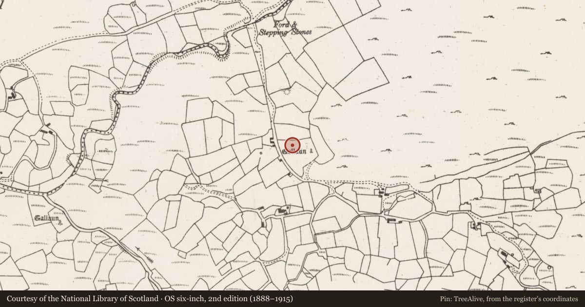 Ordnance Survey six-inch map, 2nd edition (1888–1915) covering the location of Earthwork, Cousane, County Cork, with a pin at the register's coordinates