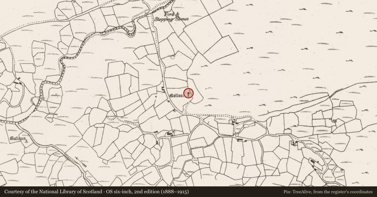 Ordnance Survey six-inch map, 2nd edition (1888–1915) covering the location of Standing stone, Cousane, County Cork, with a pin at the register's coordinates