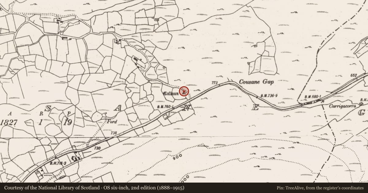 Ordnance Survey six-inch map, 2nd edition (1888–1915) covering the location of Standing stone, Cousane, County Cork, with a pin at the register's coordinates