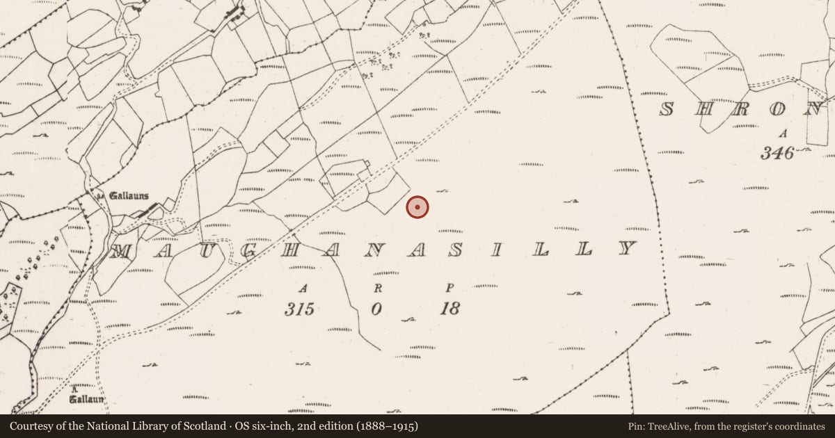 Ordnance Survey six-inch map, 2nd edition (1888–1915) covering the location of Field boundary, Maughanasilly, County Cork, with a pin at the register's coordinates