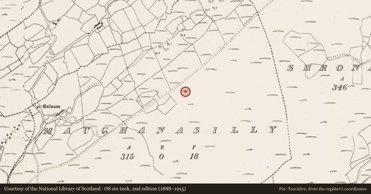 Ordnance Survey six-inch map, 2nd edition (1888–1915) covering the location of Fulacht fia, Maughanasilly, County Cork, with a pin at the register's coordinates