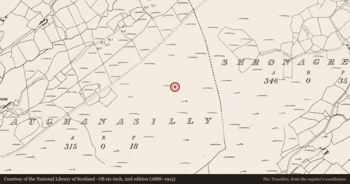 Ordnance Survey six-inch map, 2nd edition (1888–1915) covering the location of Fulacht fia, Maughanasilly, County Cork, with a pin at the register's coordinates