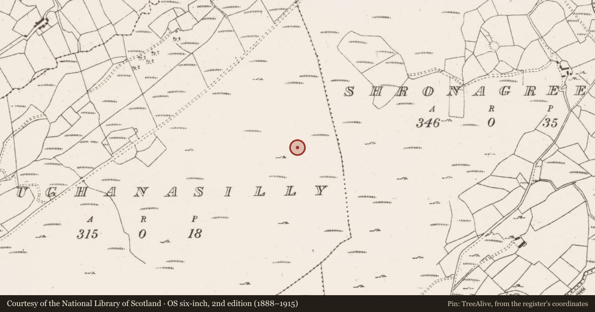 Ordnance Survey six-inch map, 2nd edition (1888–1915) covering the location of Fulacht fia, Maughanasilly, County Cork, with a pin at the register's coordinates