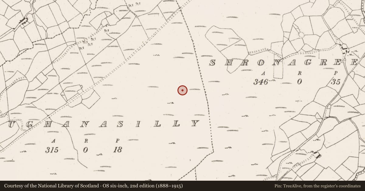 Ordnance Survey six-inch map, 2nd edition (1888–1915) covering the location of Fulacht fia, Maughanasilly, County Cork, with a pin at the register's coordinates