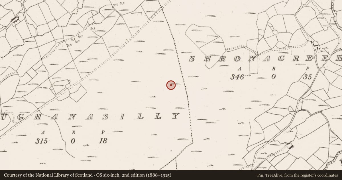 Ordnance Survey six-inch map, 2nd edition (1888–1915) covering the location of Hut site, Maughanasilly, County Cork, with a pin at the register's coordinates