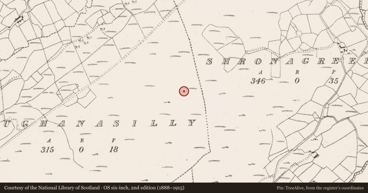 Ordnance Survey six-inch map, 2nd edition (1888–1915) covering the location of Field boundary, Maughanasilly, County Cork, with a pin at the register's coordinates