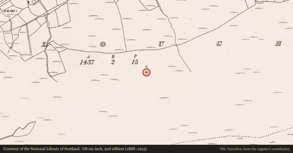 Ordnance Survey six-inch map, 2nd edition (1888–1915) covering the location of Hut site, Gortloughra, County Cork, with a pin at the register's coordinates