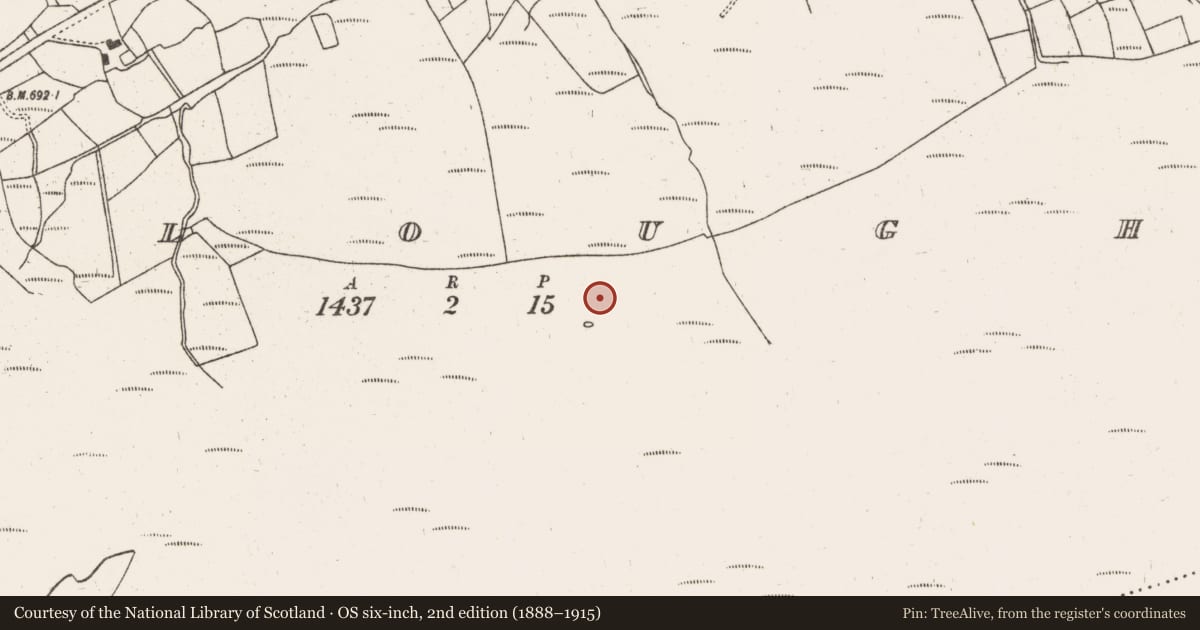 Ordnance Survey six-inch map, 2nd edition (1888–1915) covering the location of Hut site, Gortloughra, County Cork, with a pin at the register's coordinates