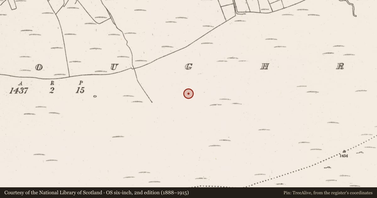 Ordnance Survey six-inch map, 2nd edition (1888–1915) covering the location of Hut site, Gortloughra, County Cork, with a pin at the register's coordinates