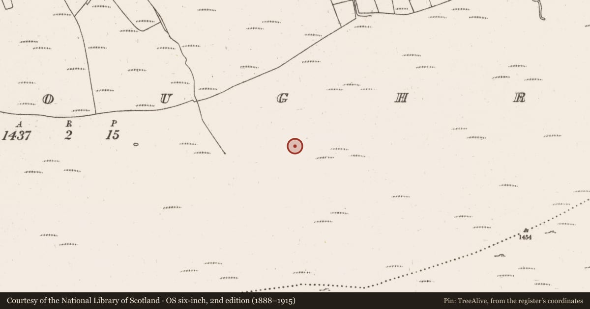 Ordnance Survey six-inch map, 2nd edition (1888–1915) covering the location of Hut site, Gortloughra, County Cork, with a pin at the register's coordinates