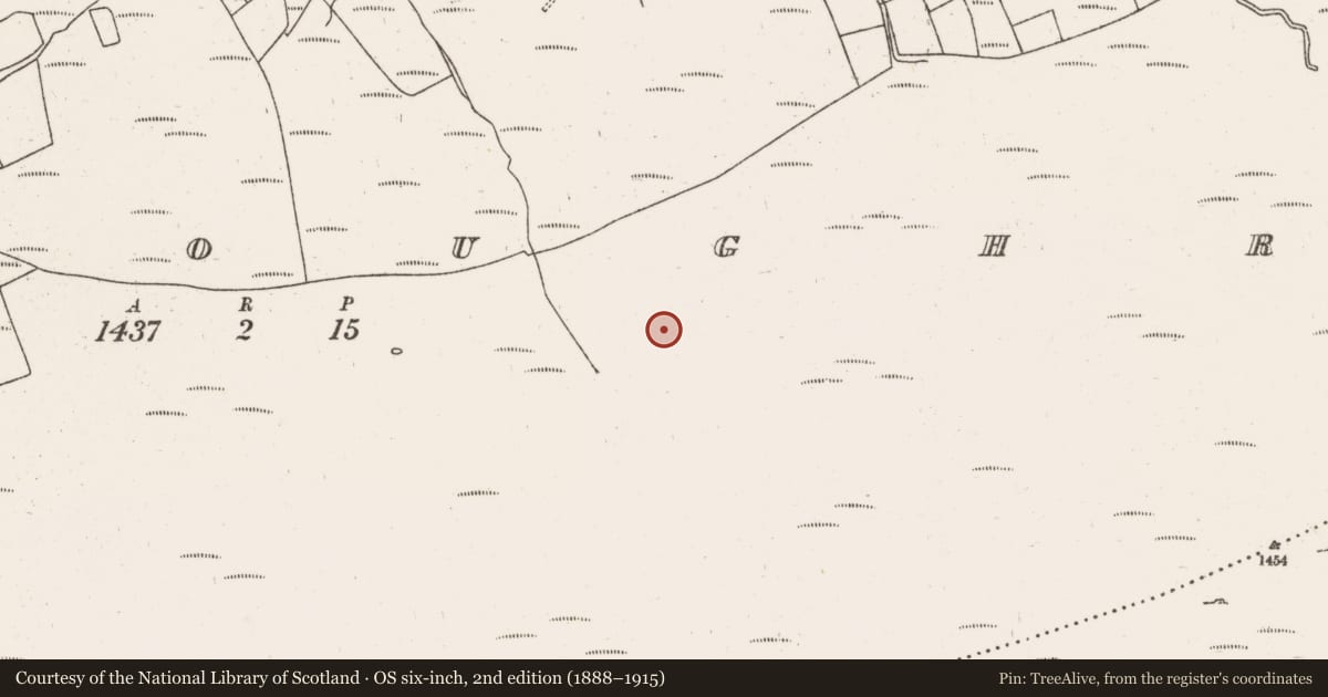Ordnance Survey six-inch map, 2nd edition (1888–1915) covering the location of Hut site, Gortloughra, County Cork, with a pin at the register's coordinates
