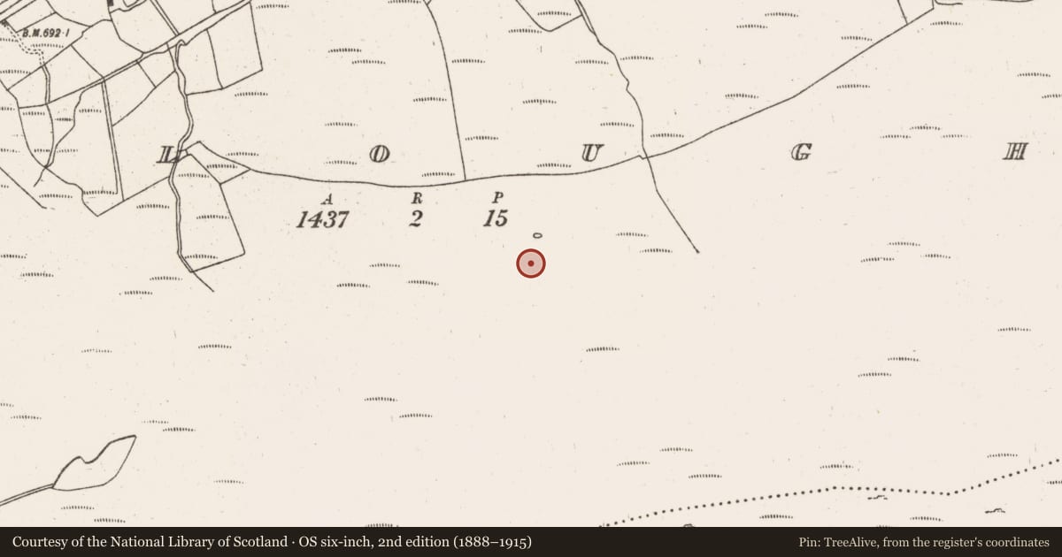 Ordnance Survey six-inch map, 2nd edition (1888–1915) covering the location of Field boundary, Gortloughra, County Cork, with a pin at the register's coordinates