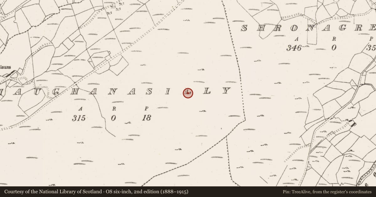 Ordnance Survey six-inch map, 2nd edition (1888–1915) covering the location of Hut site, Maughanasilly, County Cork, with a pin at the register's coordinates
