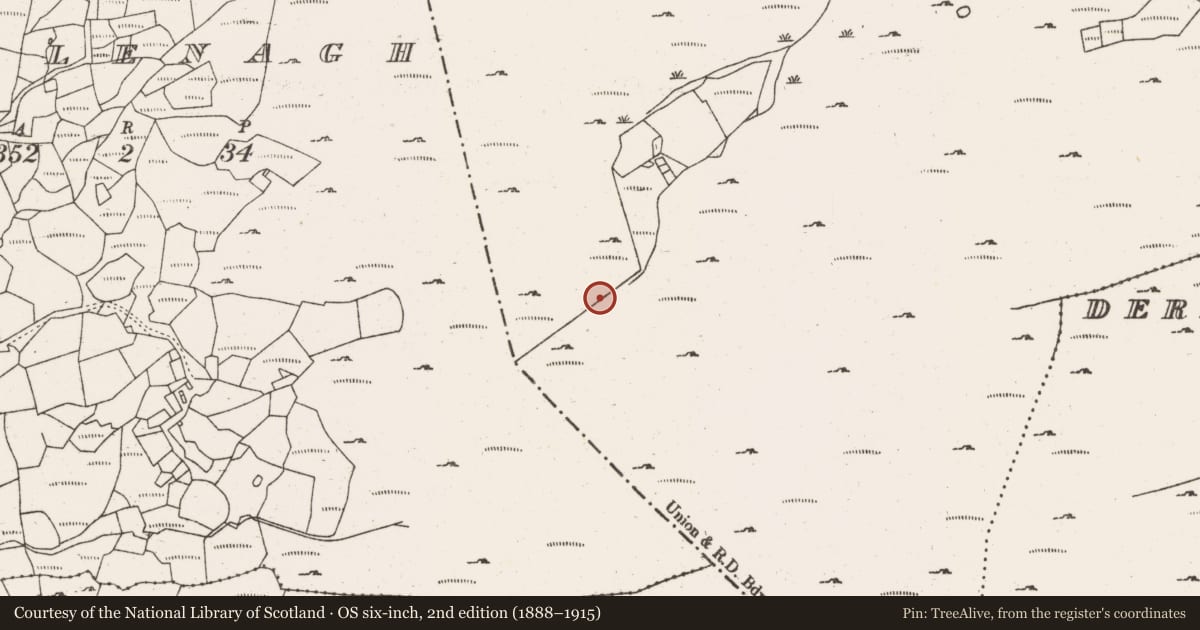 Ordnance Survey six-inch map, 2nd edition (1888–1915) covering the location of Standing stone - pair, Dooneens (Muskerry West By., Inchigeelagh Par.), County Cork, with a pin at the register's coordinates