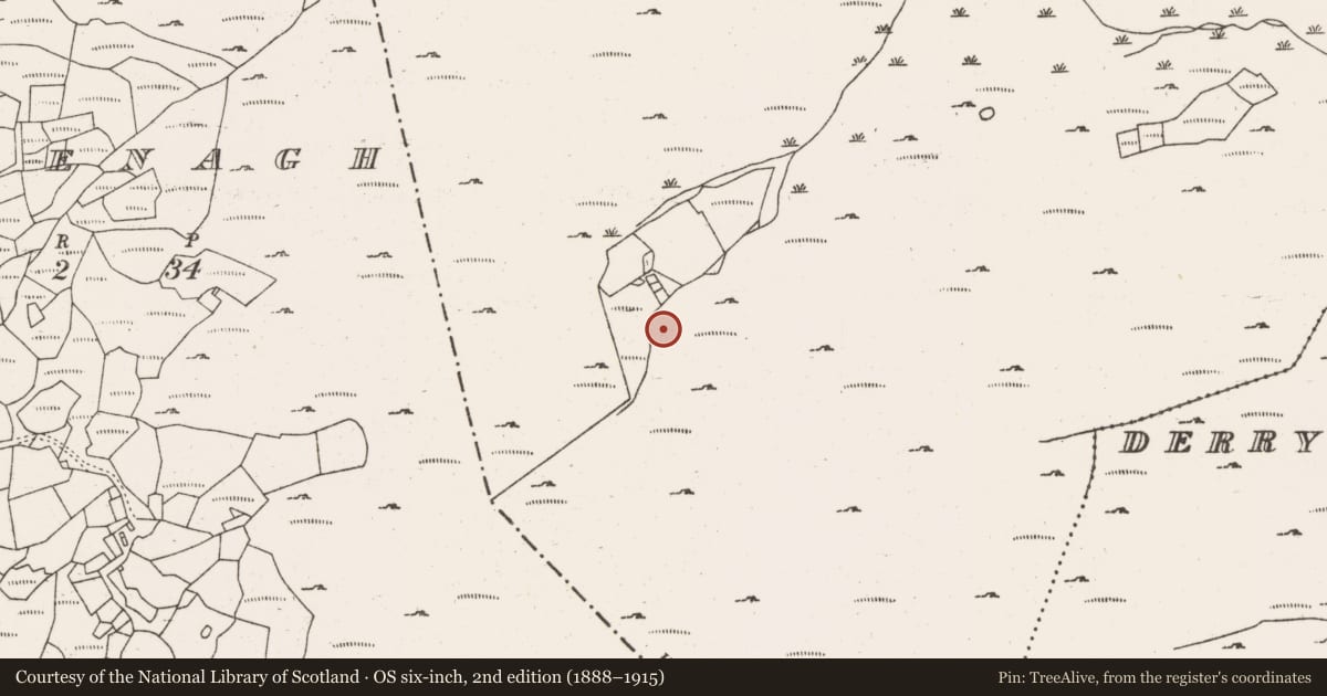Ordnance Survey six-inch map, 2nd edition (1888–1915) covering the location of Standing stone - pair, Dooneens (Muskerry West By., Inchigeelagh Par.), County Cork, with a pin at the register's coordinates