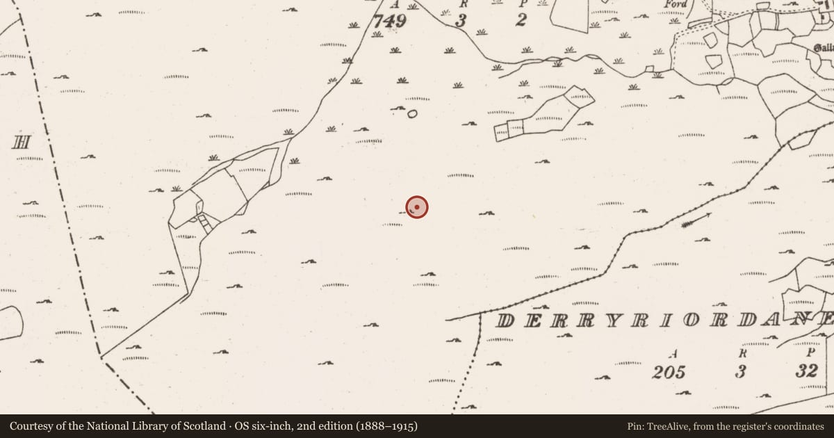 Ordnance Survey six-inch map, 2nd edition (1888–1915) covering the location of Hut site, Dooneens (Muskerry West By., Inchigeelagh Par.), County Cork, with a pin at the register's coordinates