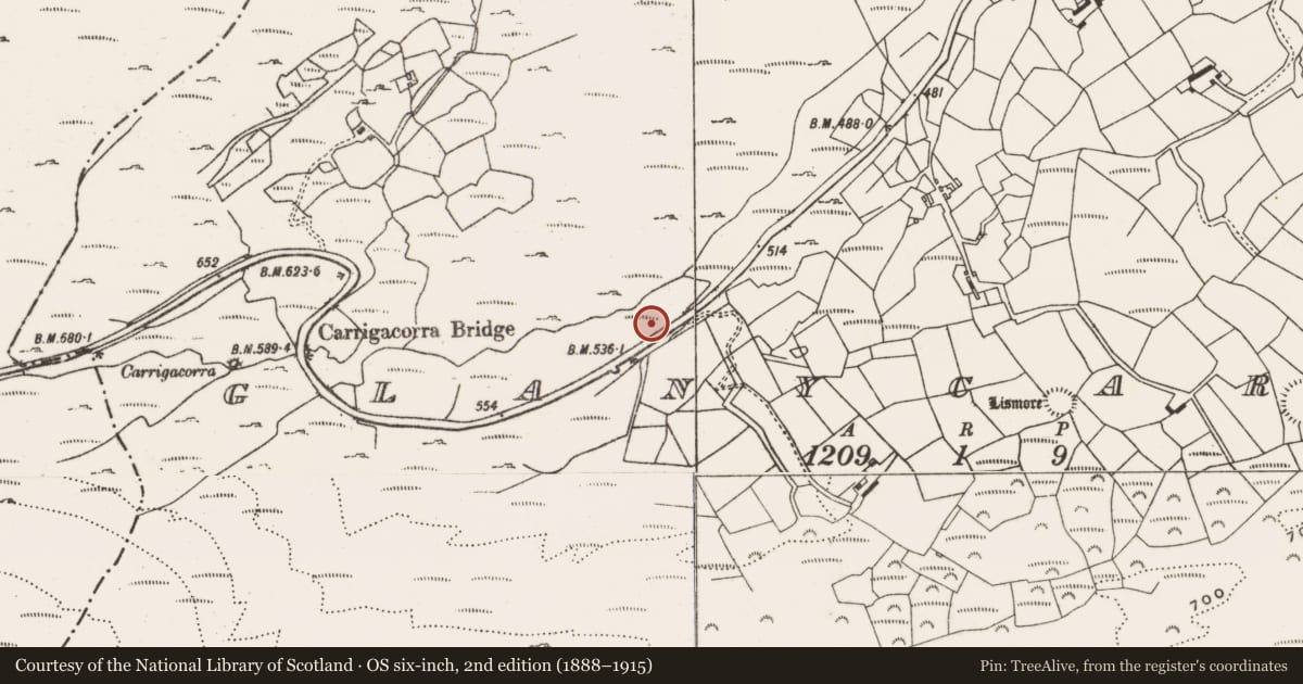 Ordnance Survey six-inch map, 2nd edition (1888–1915) covering the location of Rock scribing, Glanycarney, County Cork, with a pin at the register's coordinates