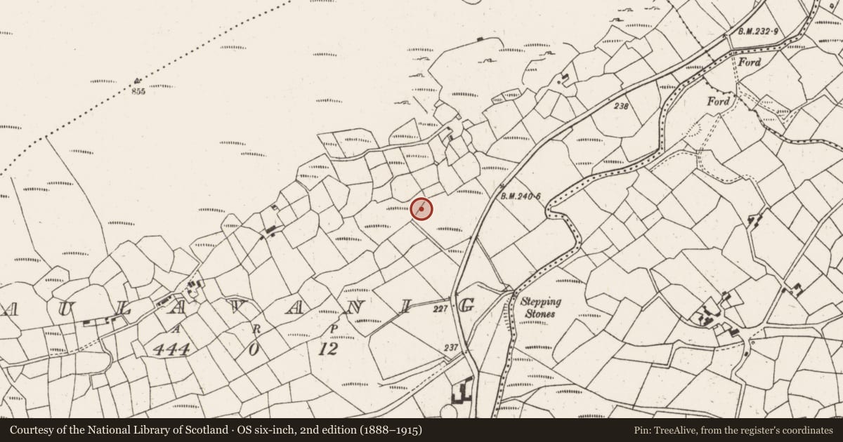 Ordnance Survey six-inch map, 2nd edition (1888–1915) covering the location of Burnt mound, Maulavanig, County Cork, with a pin at the register's coordinates
