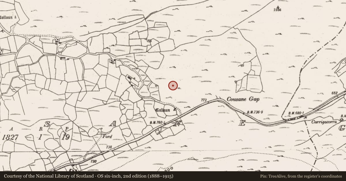 Ordnance Survey six-inch map, 2nd edition (1888–1915) covering the location of Enclosure, Cousane, County Cork, with a pin at the register's coordinates