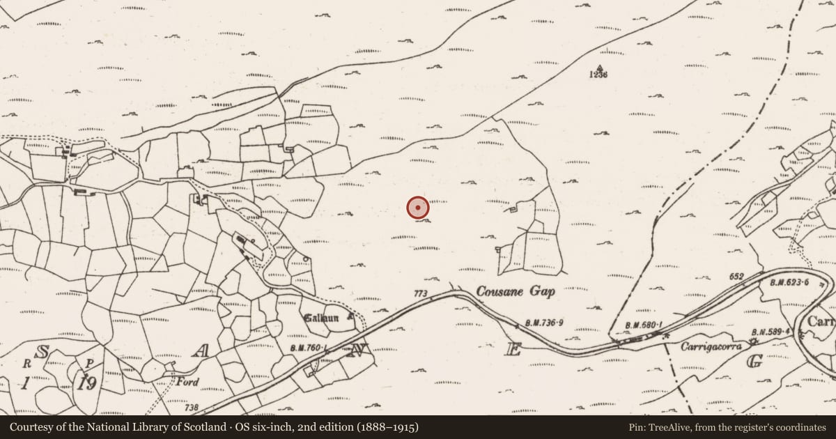 Ordnance Survey six-inch map, 2nd edition (1888–1915) covering the location of Hut site, Cousane, County Cork, with a pin at the register's coordinates