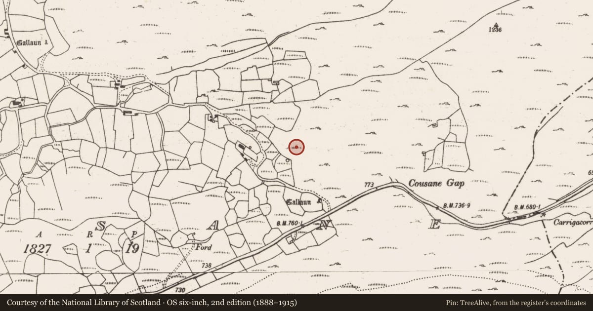 Ordnance Survey six-inch map, 2nd edition (1888–1915) covering the location of Enclosure, Cousane, County Cork, with a pin at the register's coordinates