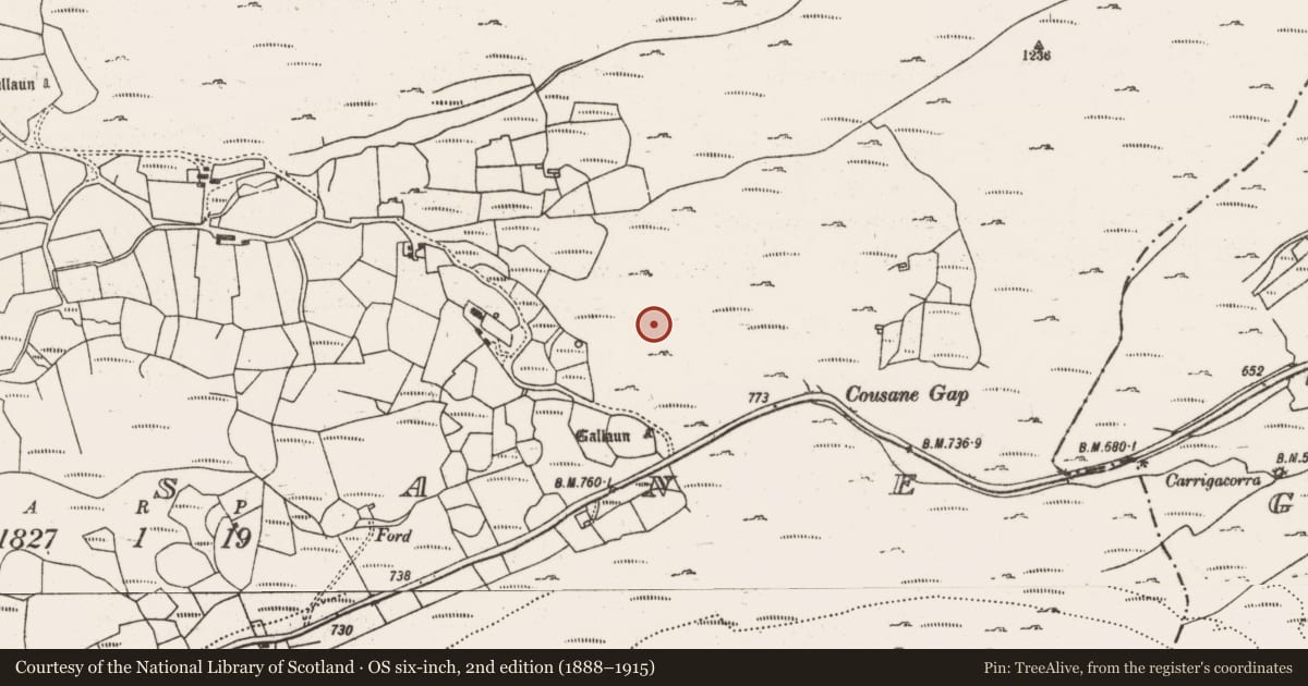 Ordnance Survey six-inch map, 2nd edition (1888–1915) covering the location of Enclosure, Cousane, County Cork, with a pin at the register's coordinates