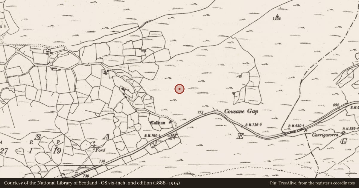 Ordnance Survey six-inch map, 2nd edition (1888–1915) covering the location of Hut site, Cousane, County Cork, with a pin at the register's coordinates
