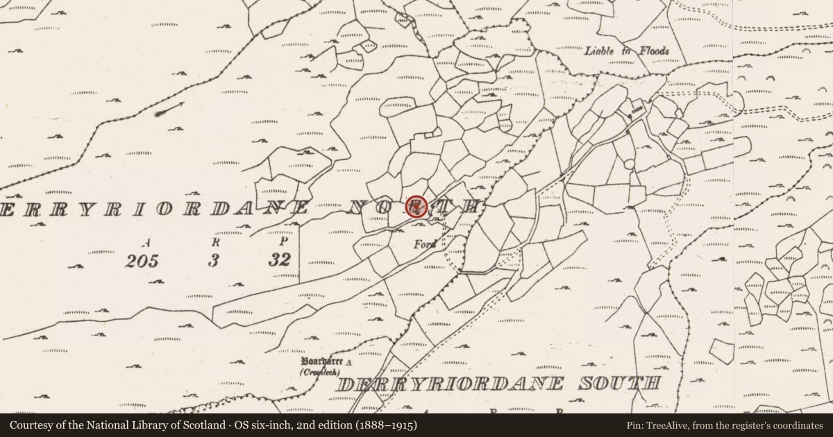 Ordnance Survey six-inch map, 2nd edition (1888–1915) covering the location of Souterrain, Doire Uí Ríordáin Thuaidh, County Cork, with a pin at the register's coordinates